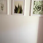 Alquiler De Piso Nuevo