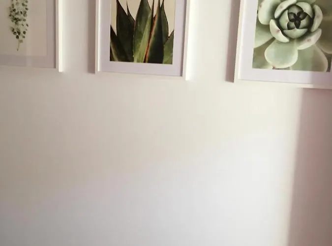 Alquiler De Piso Nuevo